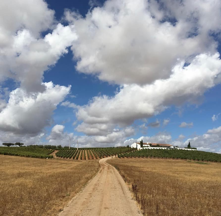 Lugar Herdade da Malhadinha Nova