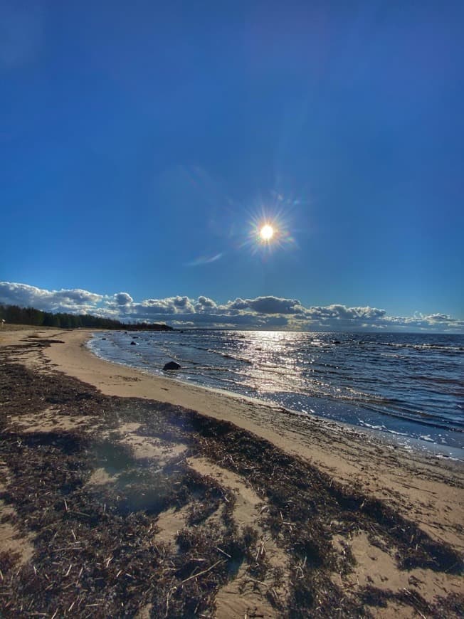 Lugar Golfo da Finlândia