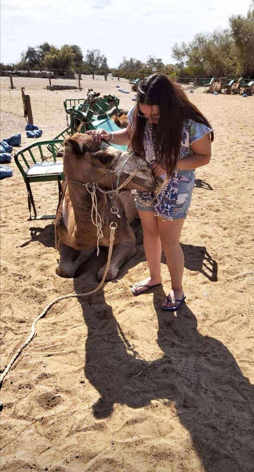 Lugar Camel Safari Park