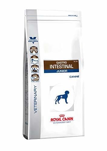 Lugar Royal Canin GIJ29