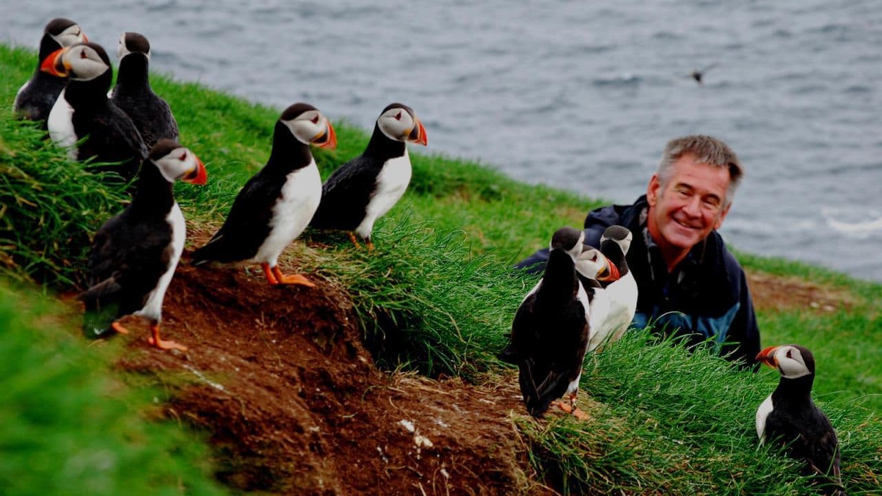 Serie Penguin Adventure with Nigel Marven