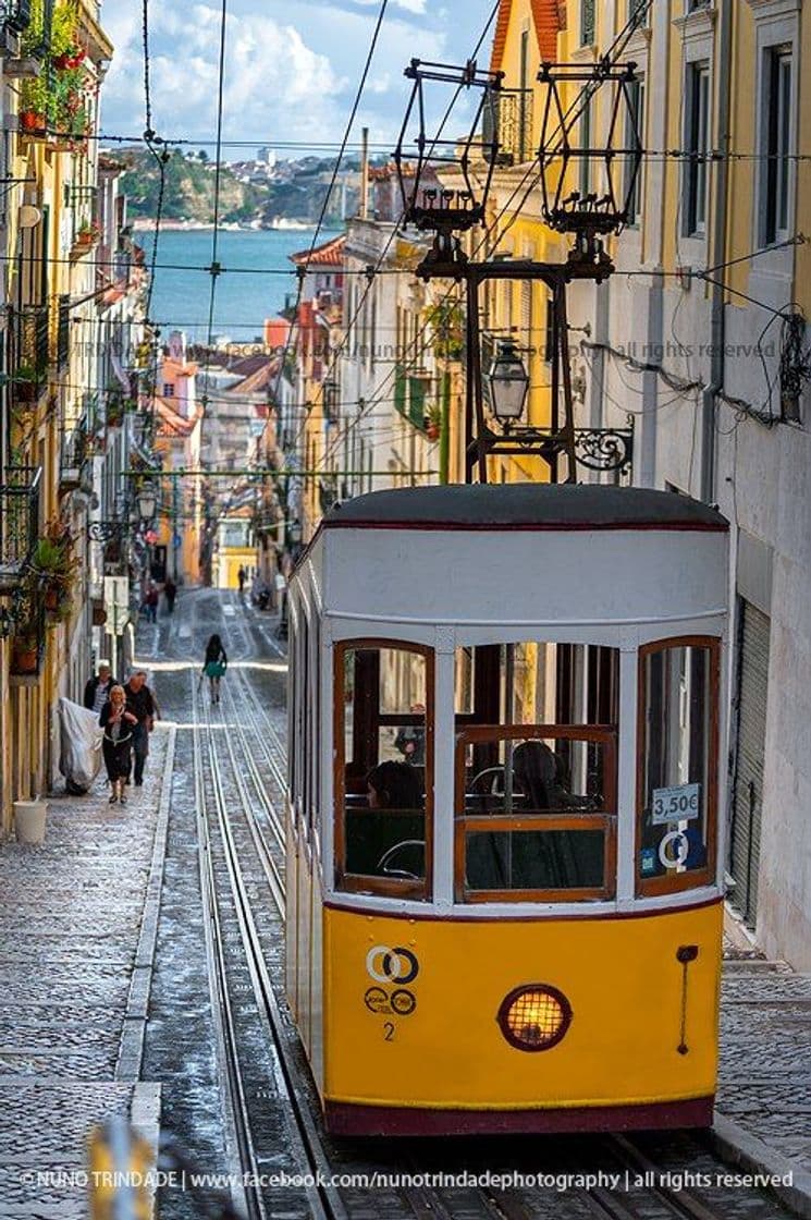 Lugar Elevador da Bica