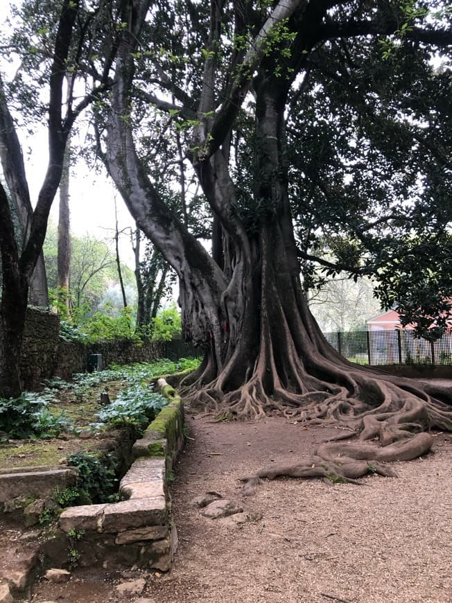 Place Jardins da Quinta das Lágrimas