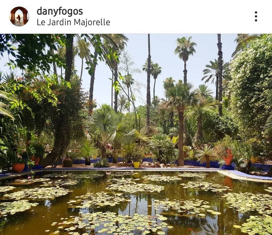 Place Jardín Majorelle