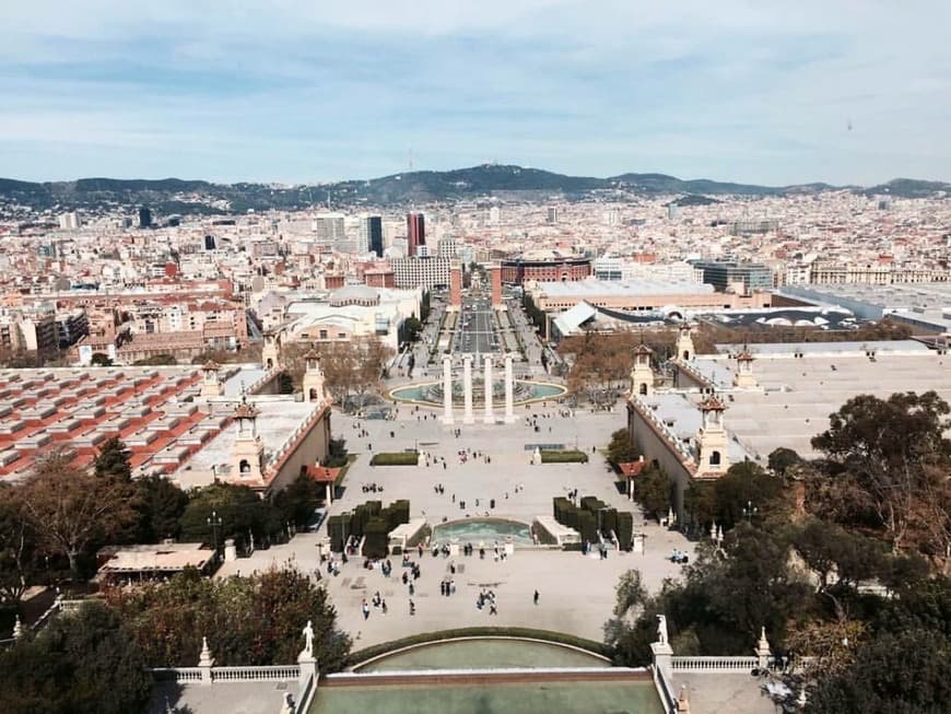 Lugar Museo Nacional de Arte de Cataluña