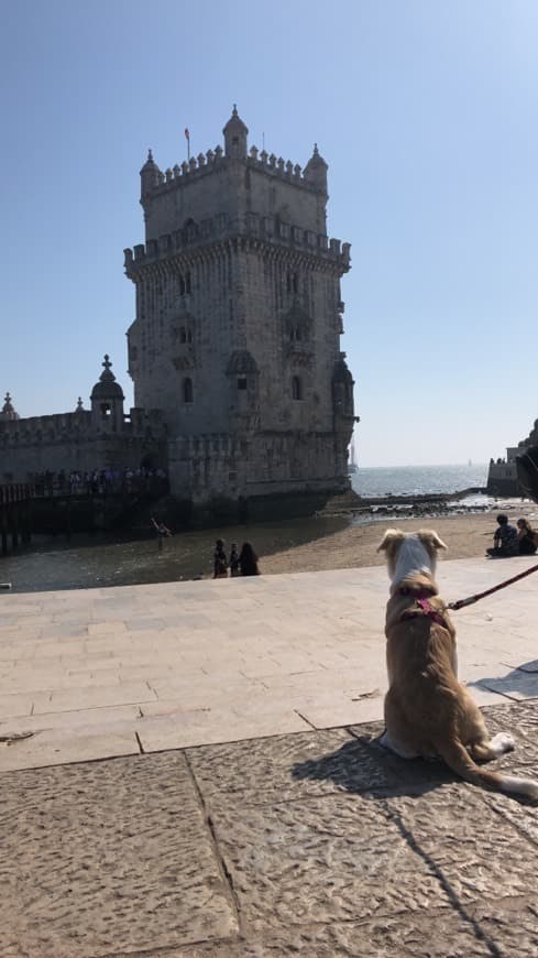 Place Torre de Belém