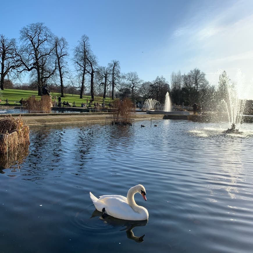 Place Jardins de Kensington 