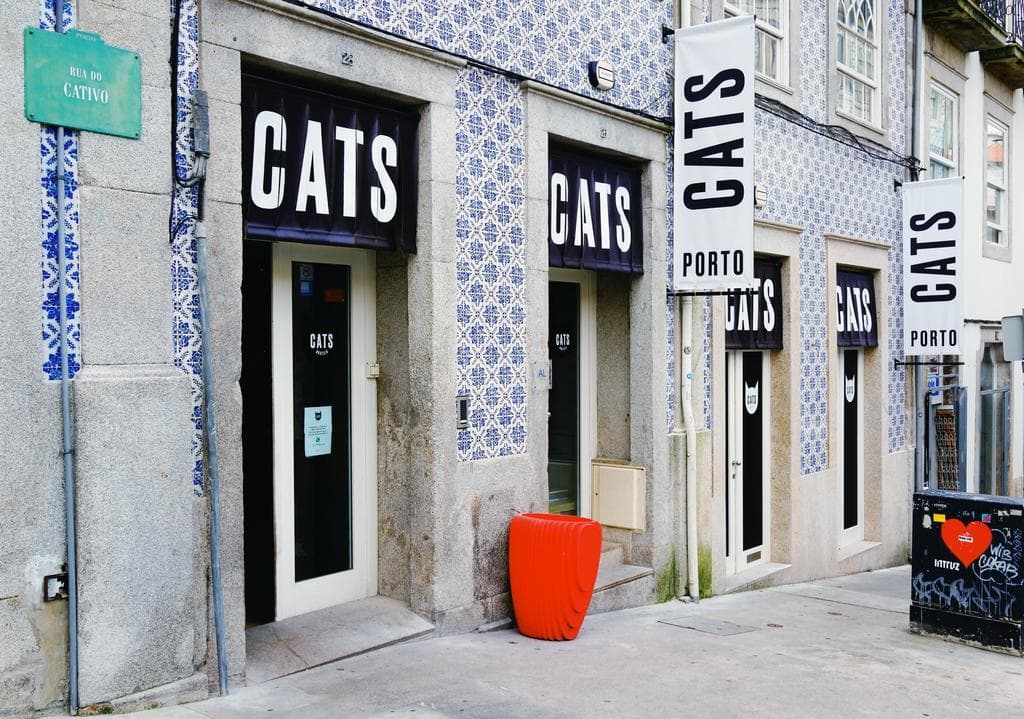 Place Cats Hostel Porto