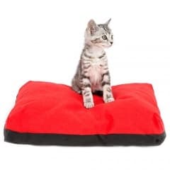 Moda Cama para cães e gatos Mini Brutus - Tiendanimal