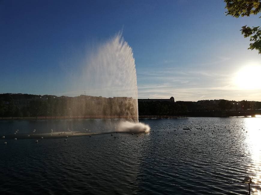 Lugar Río Mondego