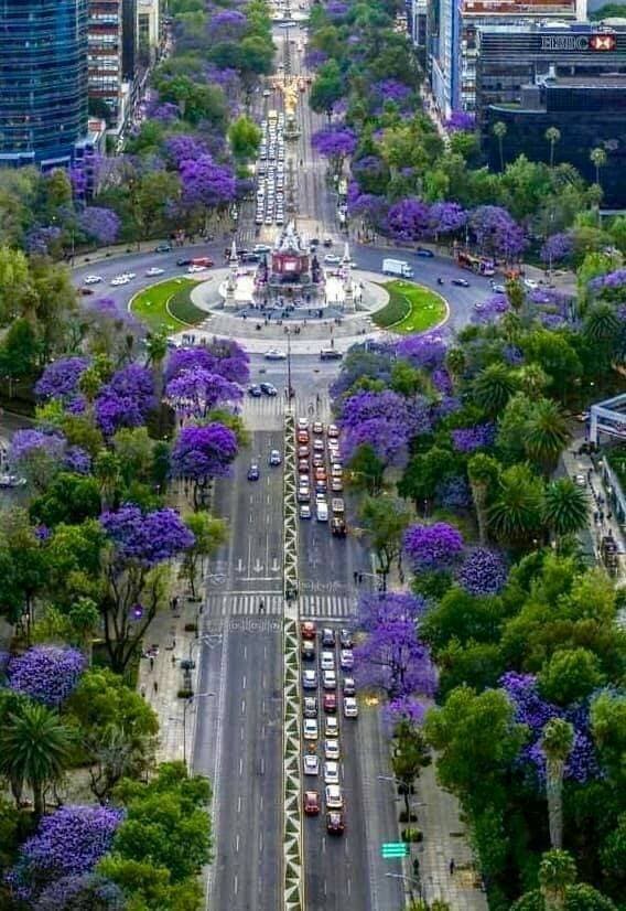 Place Mexico City