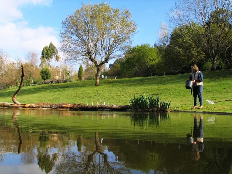 Lugar Parque Biológico de Gaia