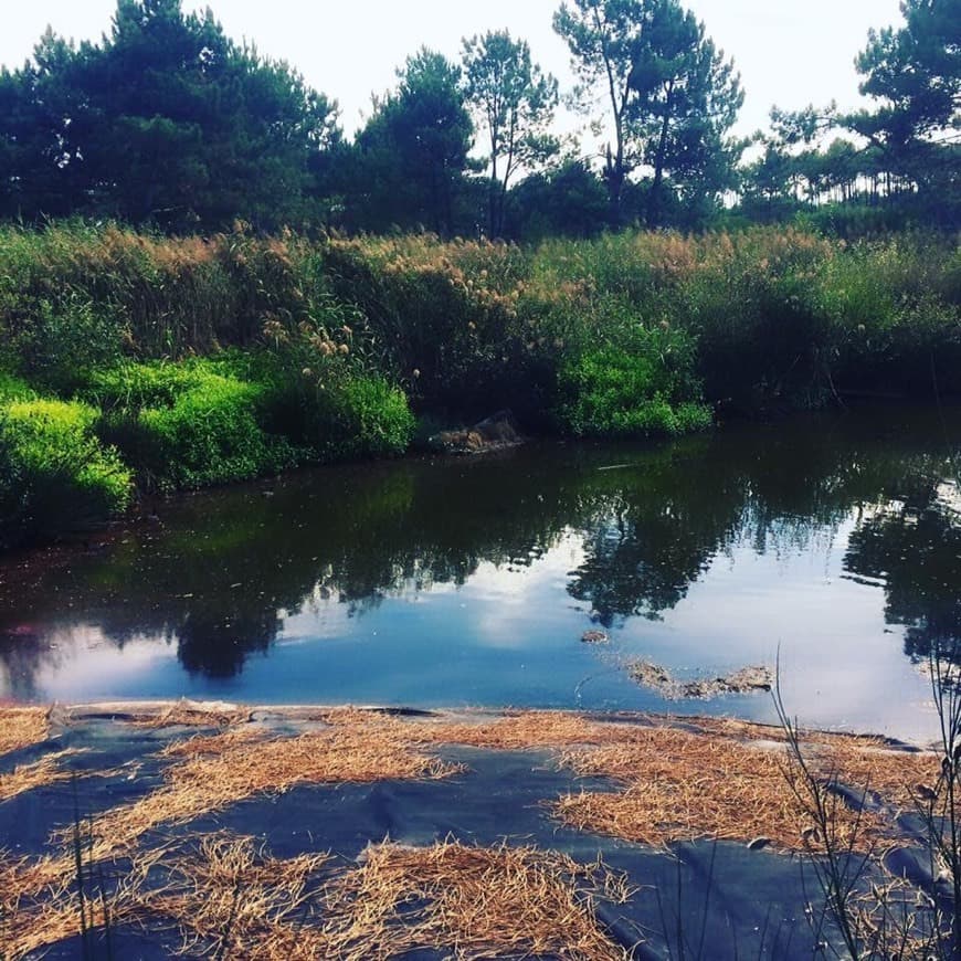 Lugar Buçaquinho Park