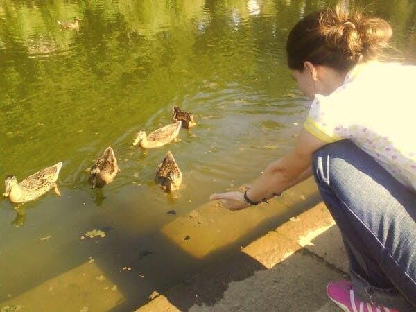 Place Parque Urbano do Rio Ul