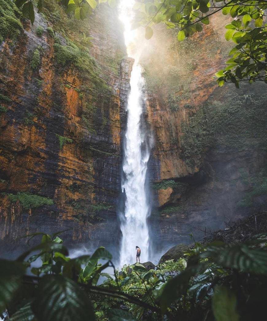 Place Waterfalls from Indonesia 