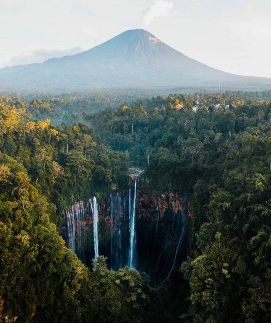 Lugar Green hues from Indonesia 🇮🇩