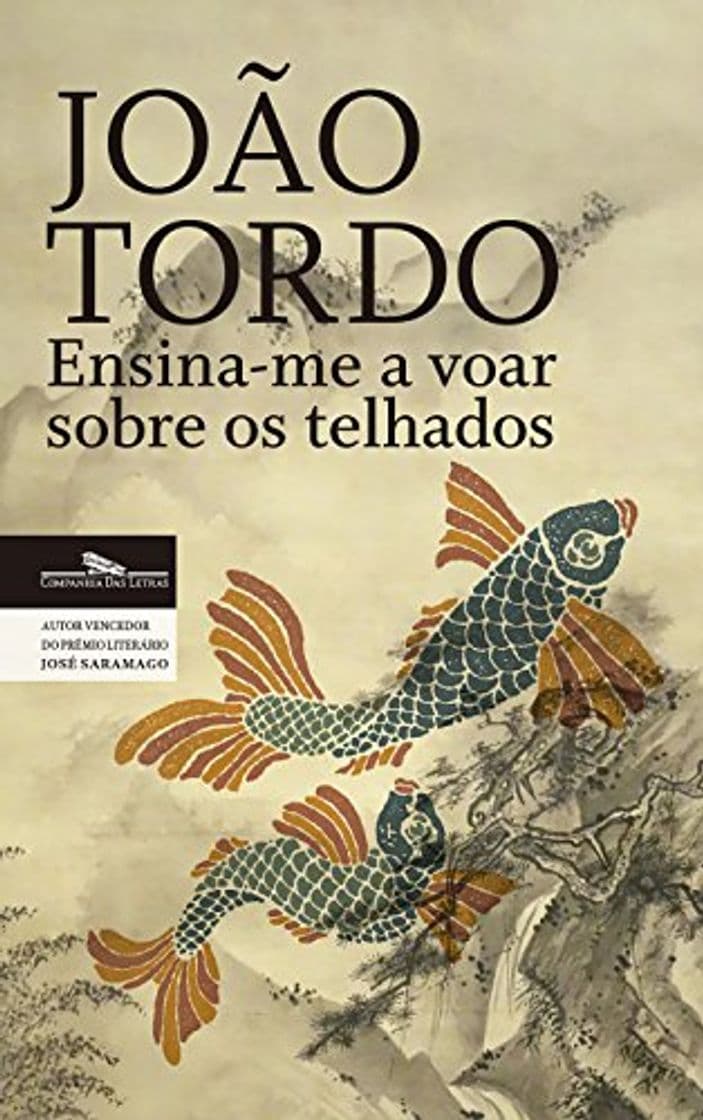 Book Ensina-me a voar sobre os telhados