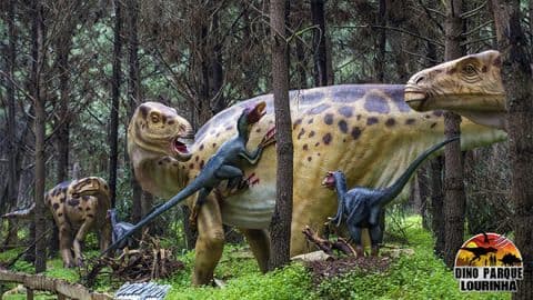 Lugar Dino Parque Lourinhã