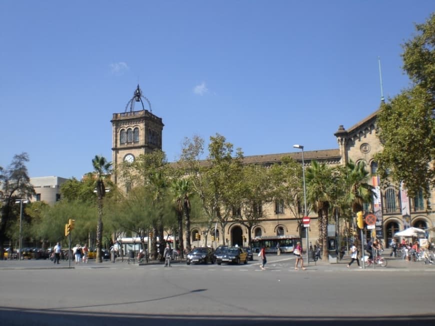 Place Plaça Universitat