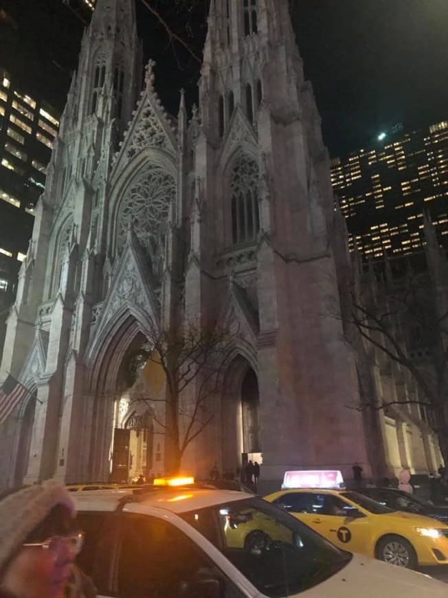 Place Patrick’s Cathedral NYC