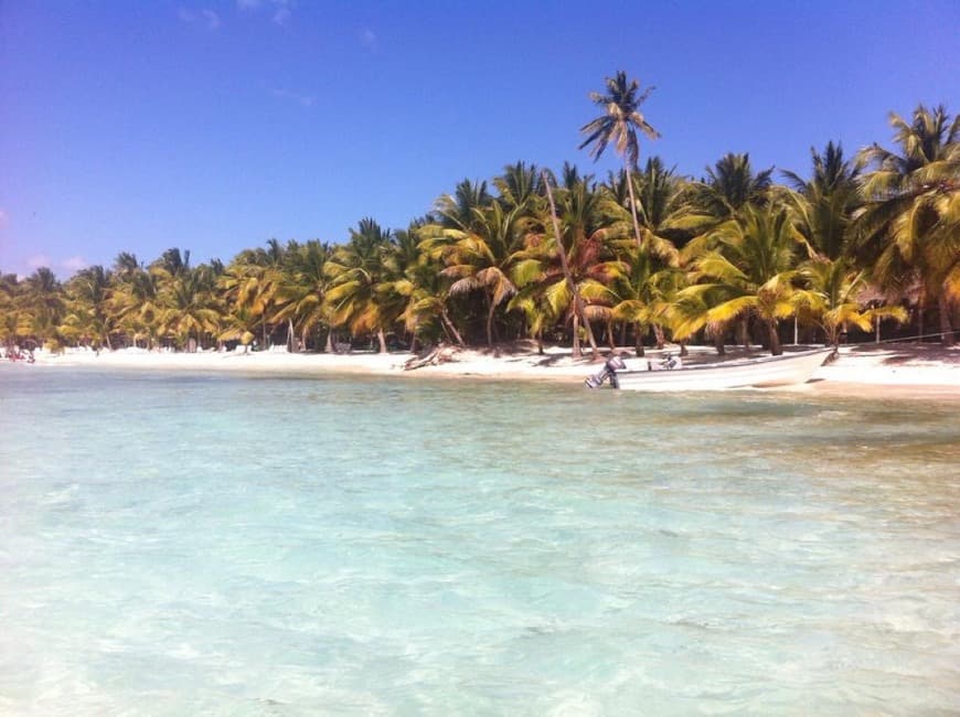 Lugar Isla Saona