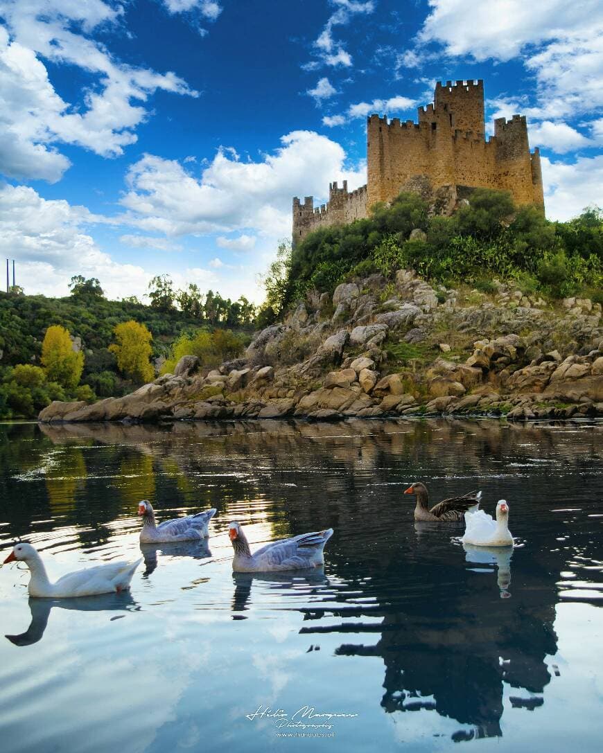 Lugar Castelo de Almourol