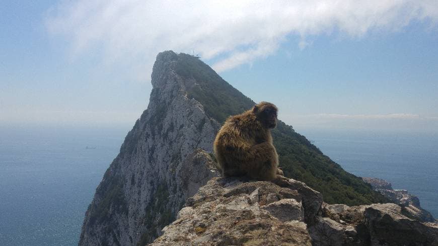 Place Gibraltar