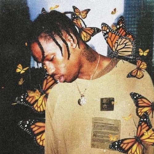 Music BUTTERFLY EFFECT