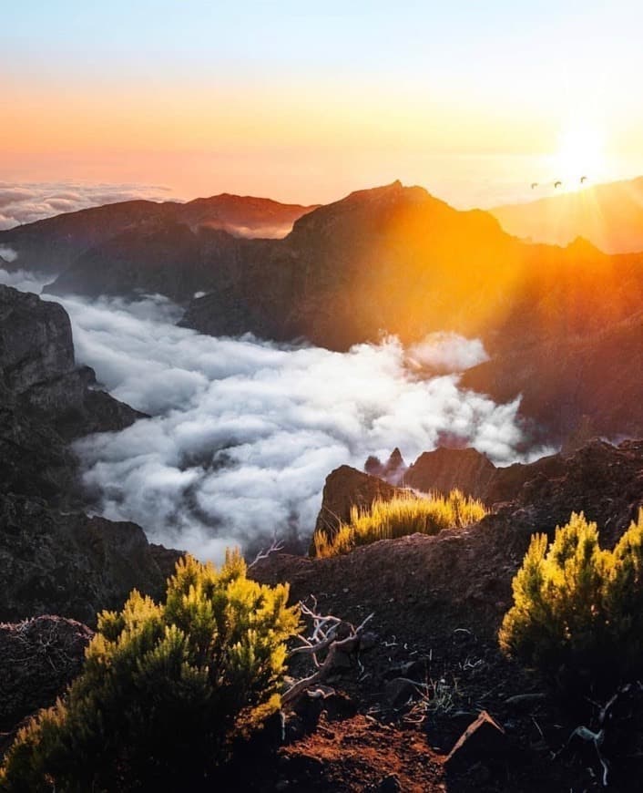 Lugar Pico do Areeiro