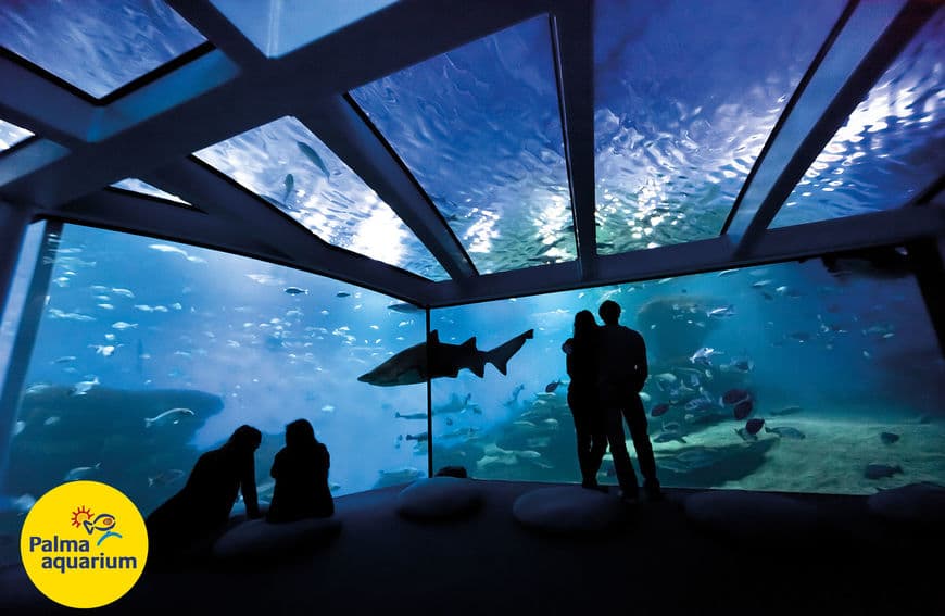 Lugar Palma Aquarium