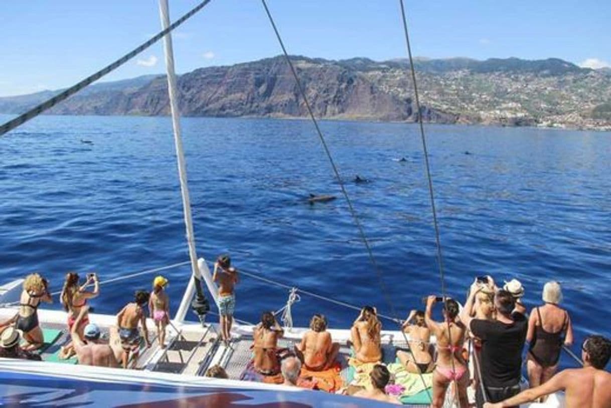 Lugar VMT Madeira - Catamaran Trips