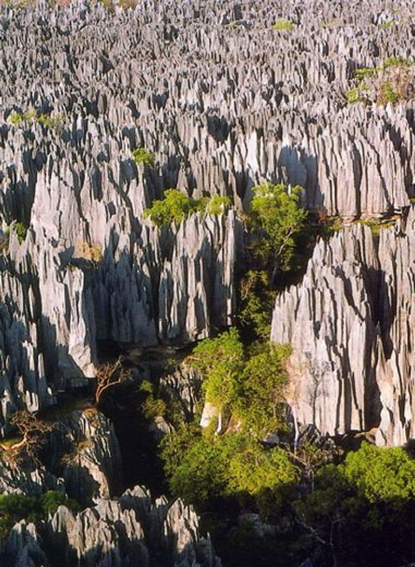 Place Bemaraha National Park