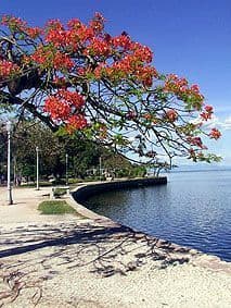 Place Ilha de Paquetá