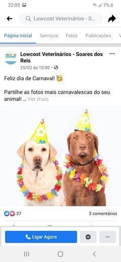 Moda Veterinário 