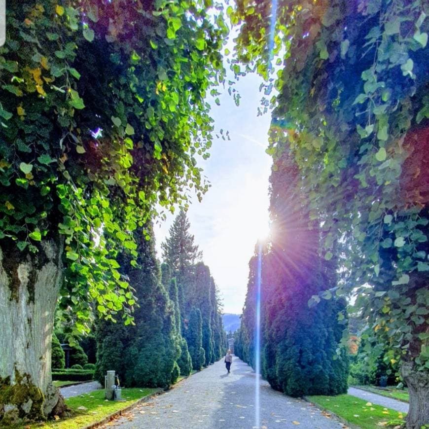 Lugar Krematorium Friedhof Meisenhard