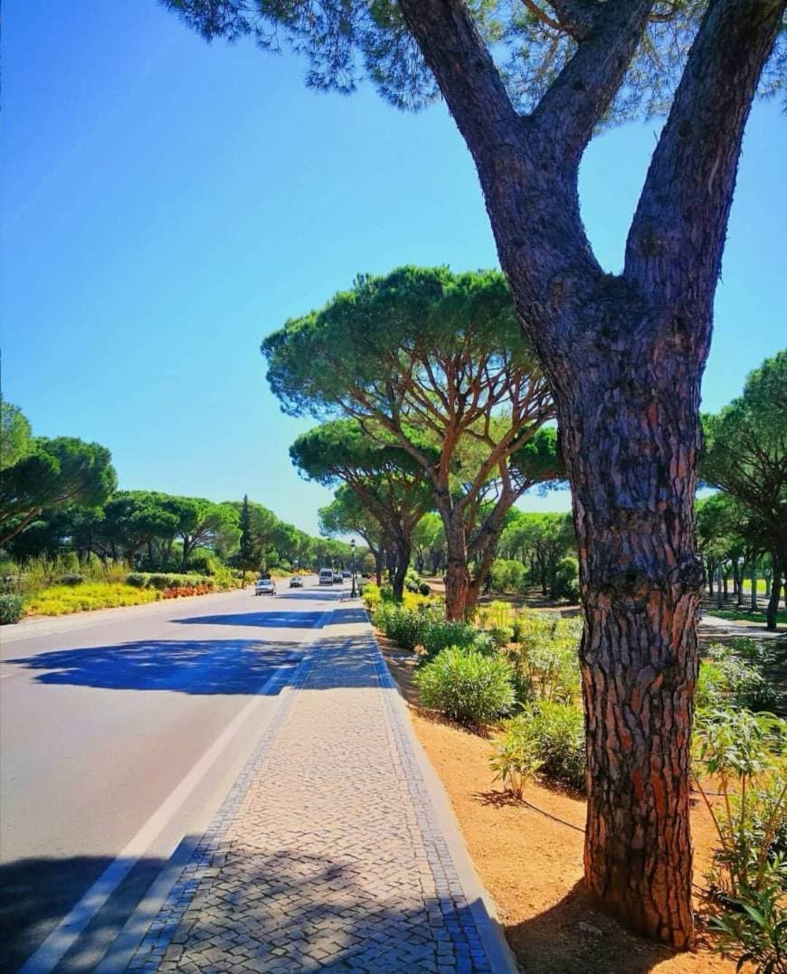 Lugar Quinta do Lago