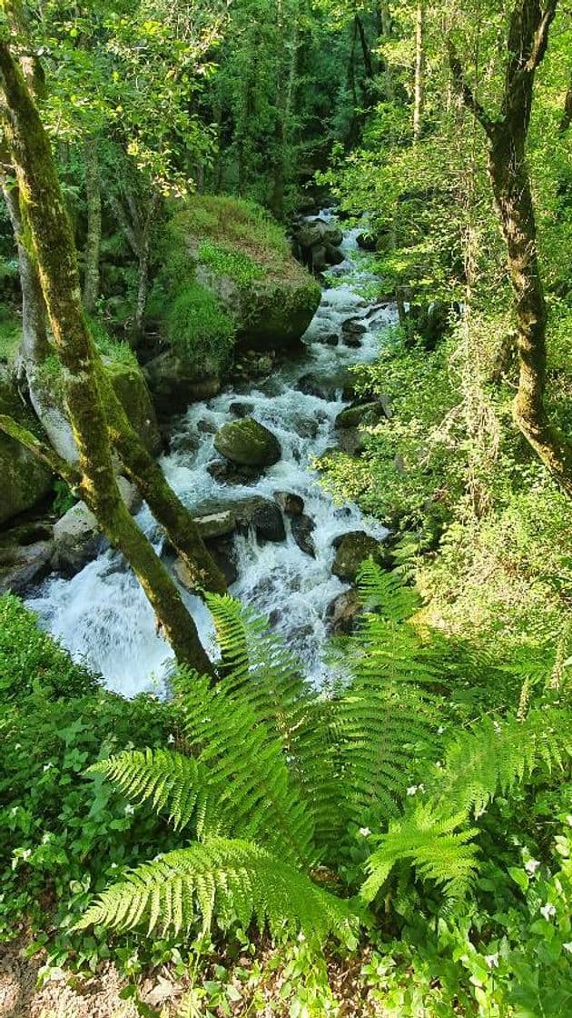 Place Barragem da Queimadela - Fafe