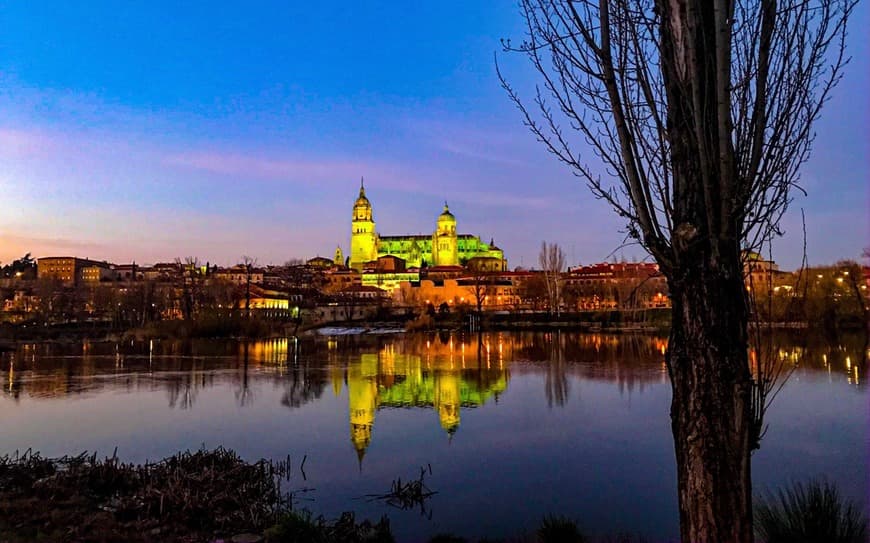 Place Catedral de Salamanca