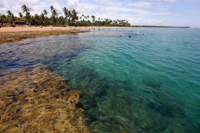 Place Taipu de Fora - Barra Grande