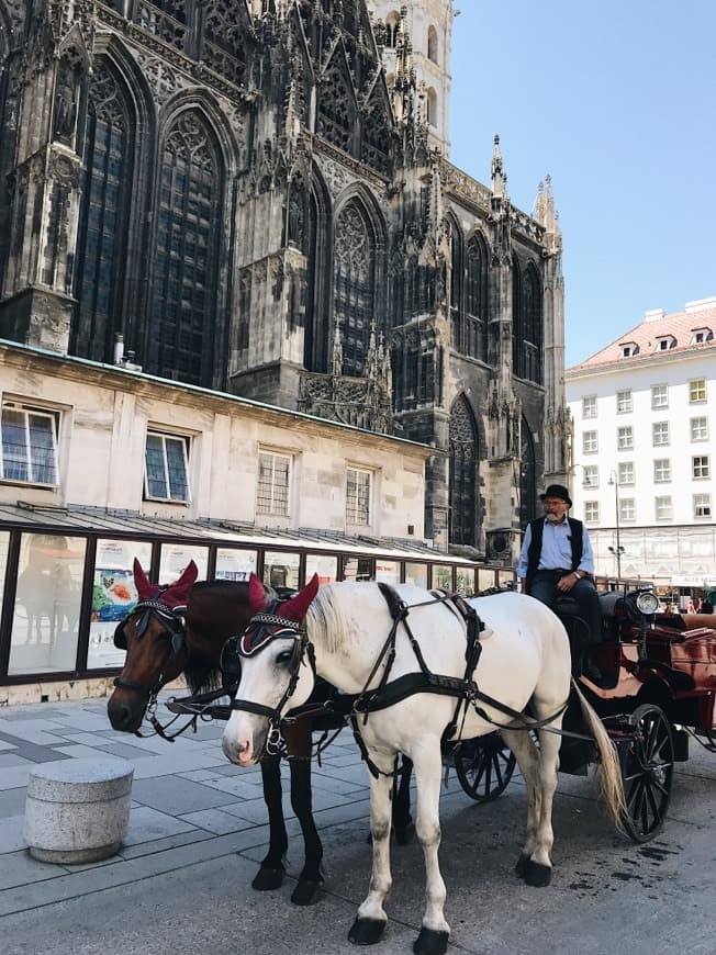 Place MEININGER Hotel Wien Downtown Franz