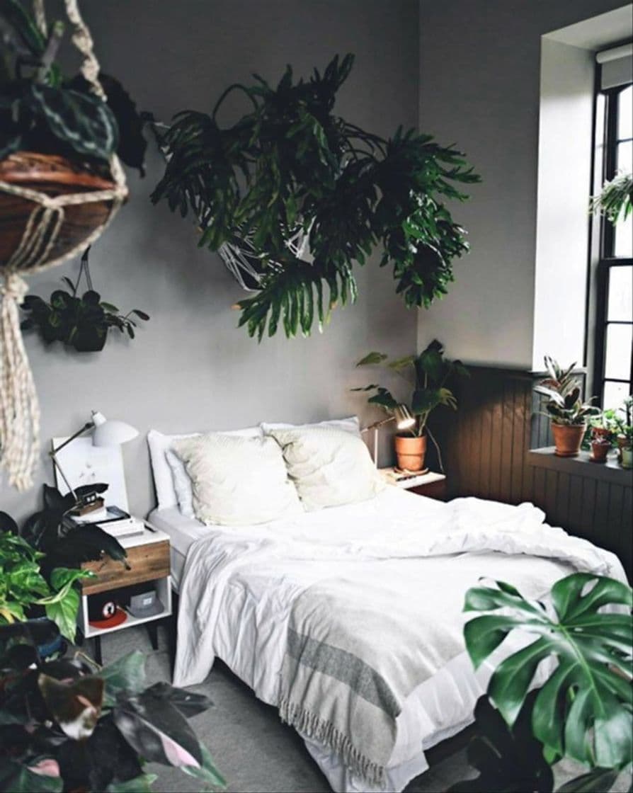 Moda Quarto com plantas 