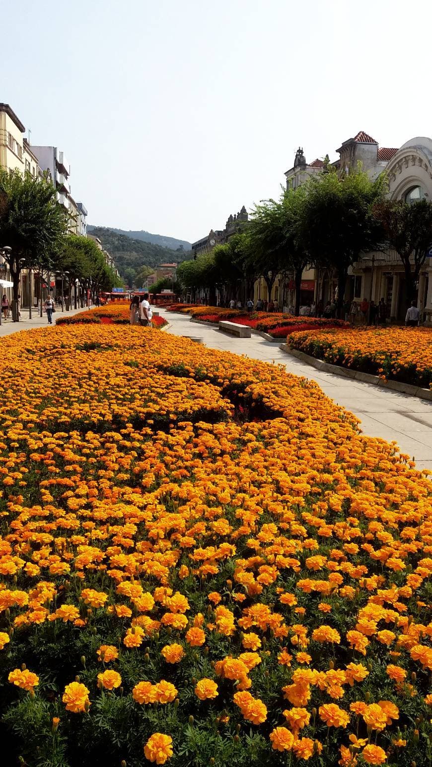 Place Avenida da Liberdade