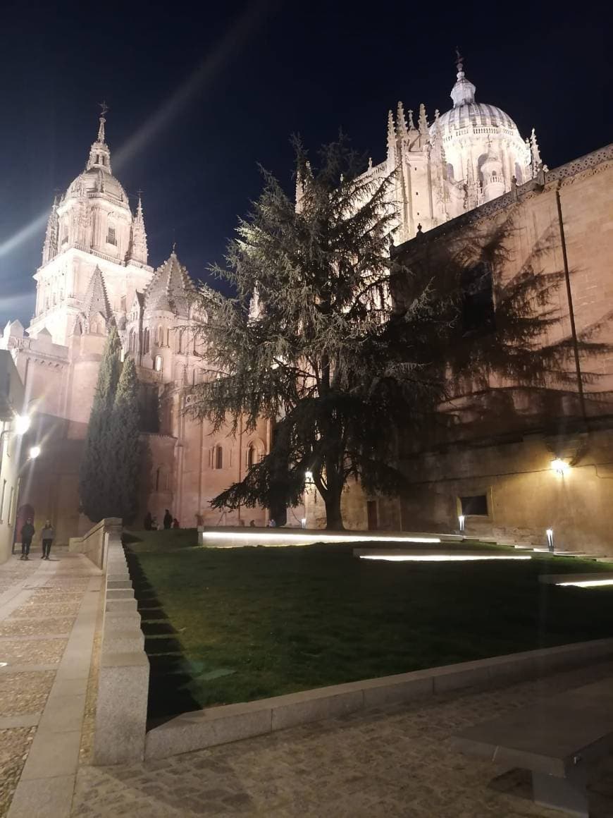 Lugar Catedral de Salamanca