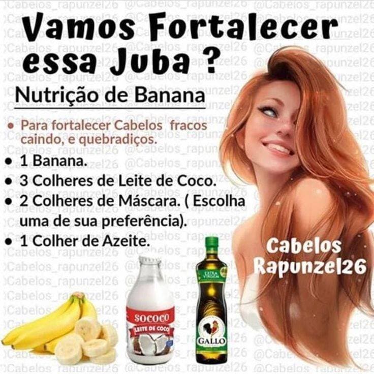 Moda nutrição ⭐⭐⭐⭐⭐