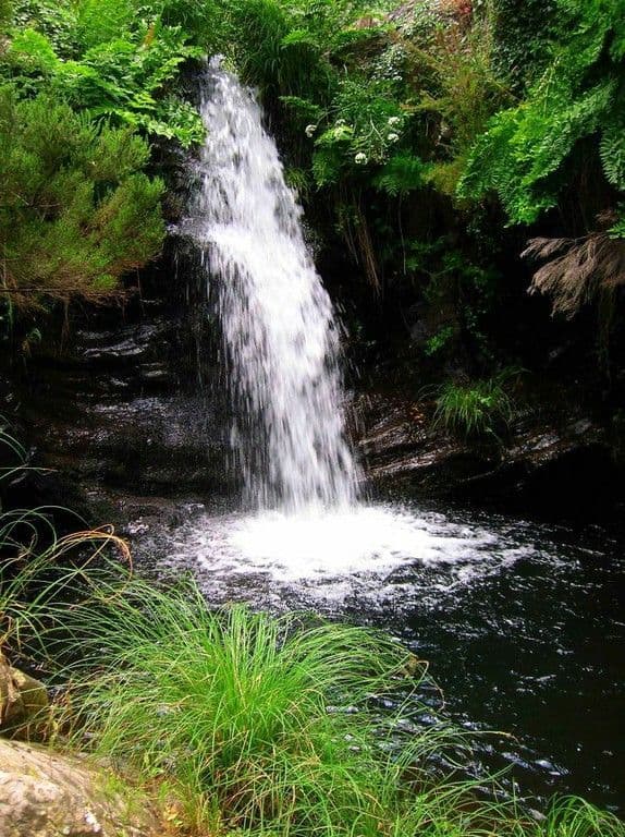 Place Parque Natural da Serra de São Mamede