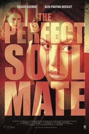 Movie The Perfect Soulmate