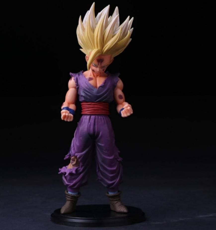 Producto Gohan 