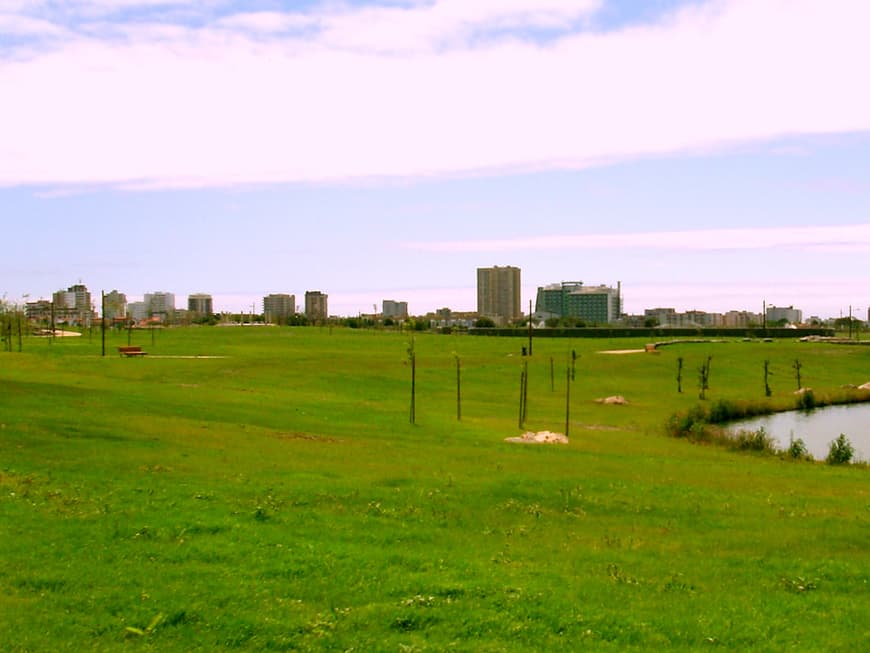 Lugar Parque da Cidade