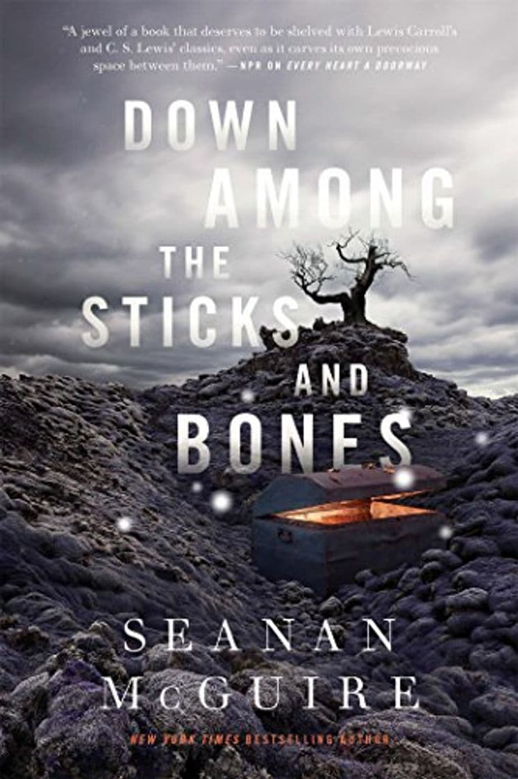 Book Down Among the Sticks and Bones