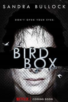 Película Bird Box